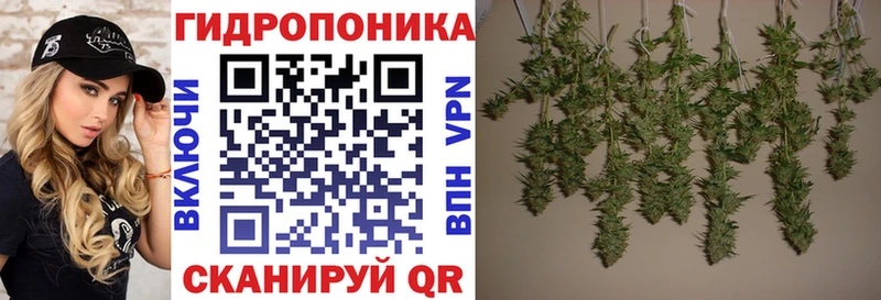 MEGA ТОР  Неман  Конопля THC 21% 